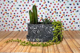 Pop x2 (Oval Planter + Saucer)