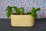 Pop Oval Planter