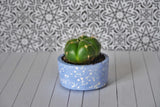 Pop Low Planter