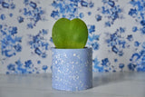 Pop Round Planter