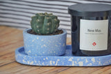 Pop x2 (Oval Saucer + Low Planter)