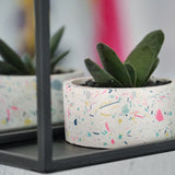 Low Planter