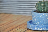 Pop x2 (Oval Saucer + Low Planter)
